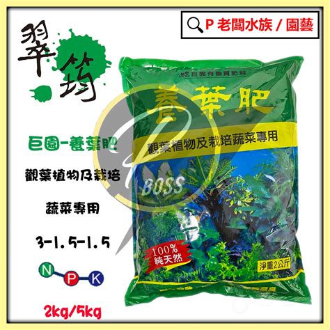 常綠果樹|老闆不藏私，園藝景觀植物推薦5大類，喬木、灌木、果樹、草花。